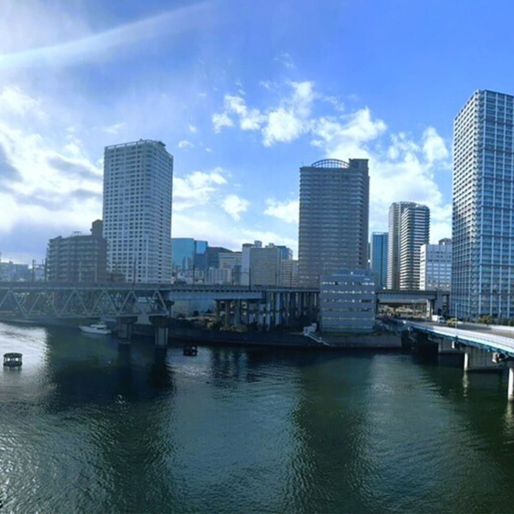 スカイクレストビュー東京の眺望
